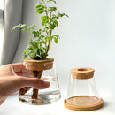 Vaso Nordic Hidropônico