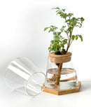 Vaso Nordic Hidropônico