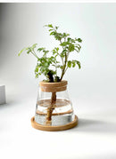 Vaso Nordic Hidropônico